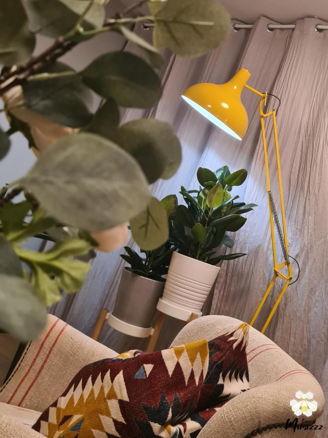 Le Mimizzz Appartement Entraygues-sur-Truyère